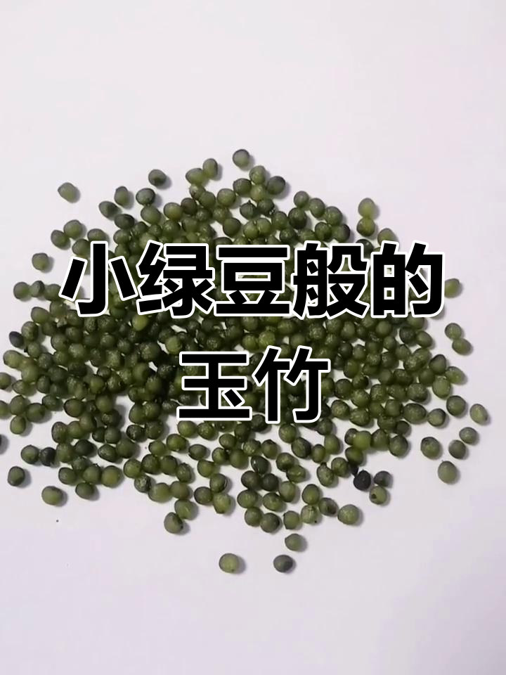 玉竹种子与百合科的奇妙联系