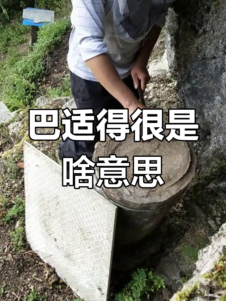 四川话"巴适得很"是什么意思?学会这句,让你秒变地道!