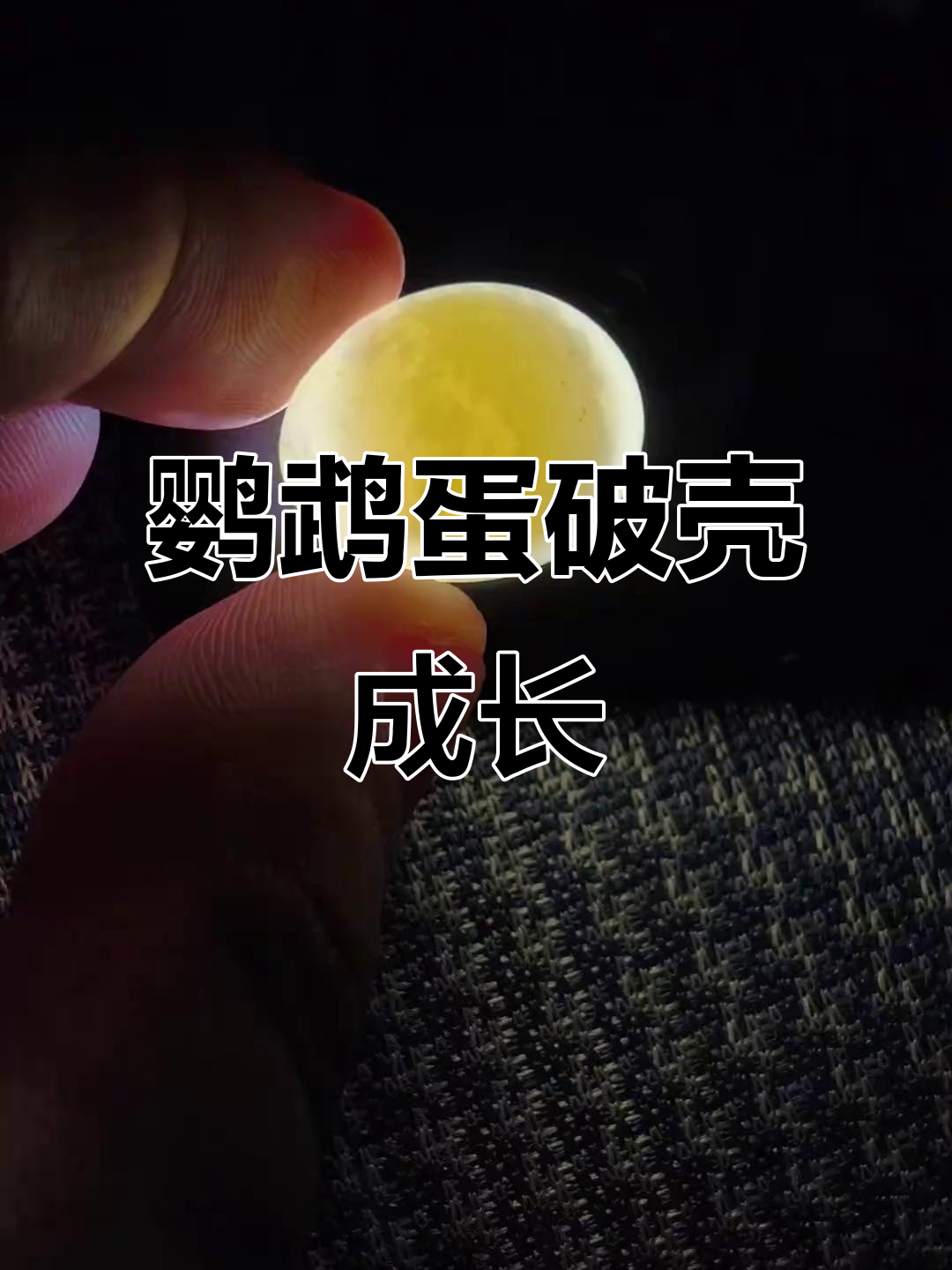 虎皮鹦鹉蛋孵化全过程,18天见证生命的奇迹