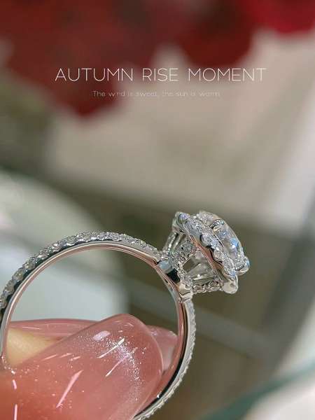 hw海瑞温斯顿theone钻戒78