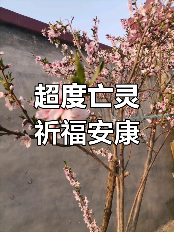 清明节日超度图片-清明节超度冤亲债主