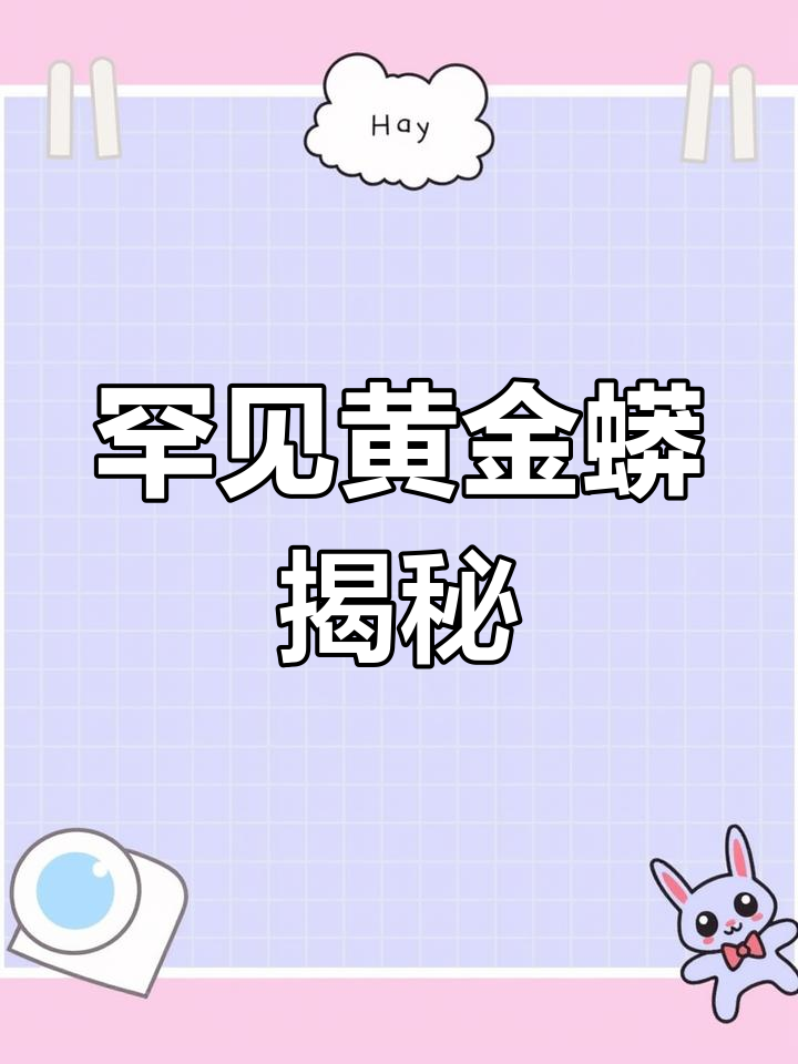 黄金蟒:缅甸白化变异蛇,稀有又神秘