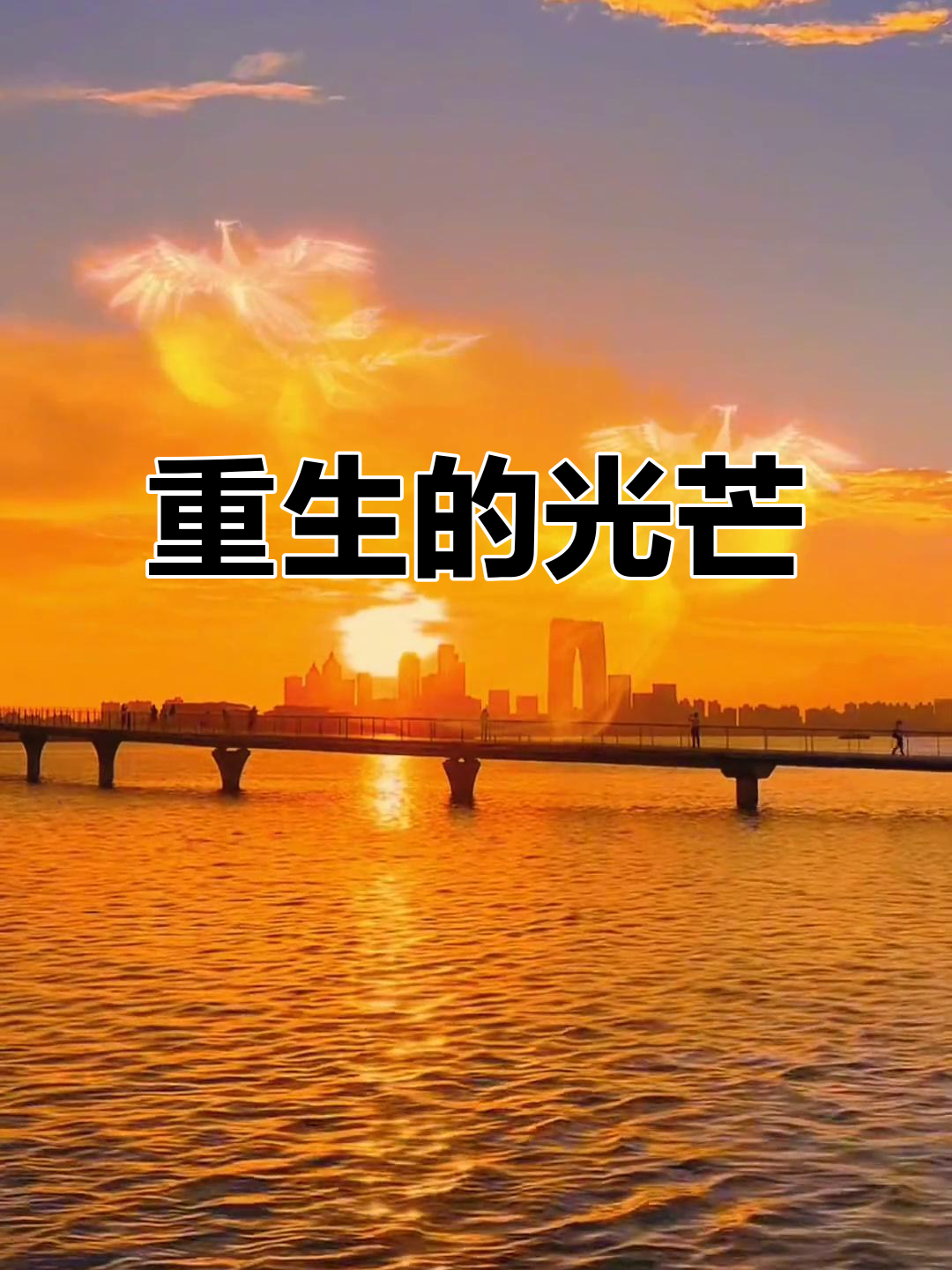 凤凰涅槃,重生之光;阴影背后必是希望与温暖