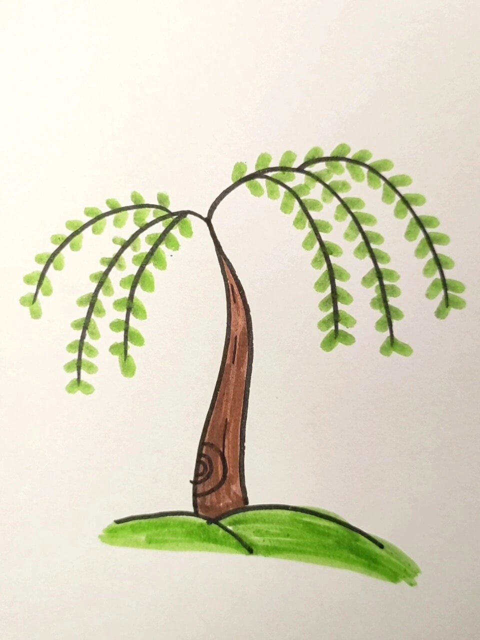 柳树简单画法,快来动动你的手吧