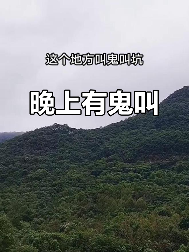 夜晚鬼叫声频频传出,胆战心惊!