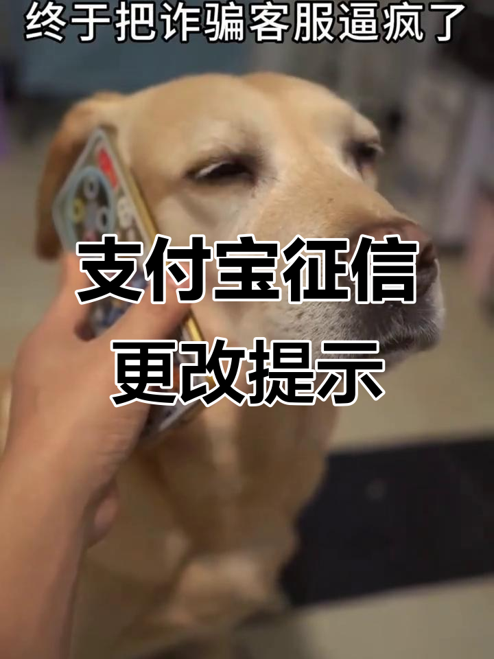 关于北京妇产医院、大兴区跑腿挂号，认真负责，欢迎来电的信息