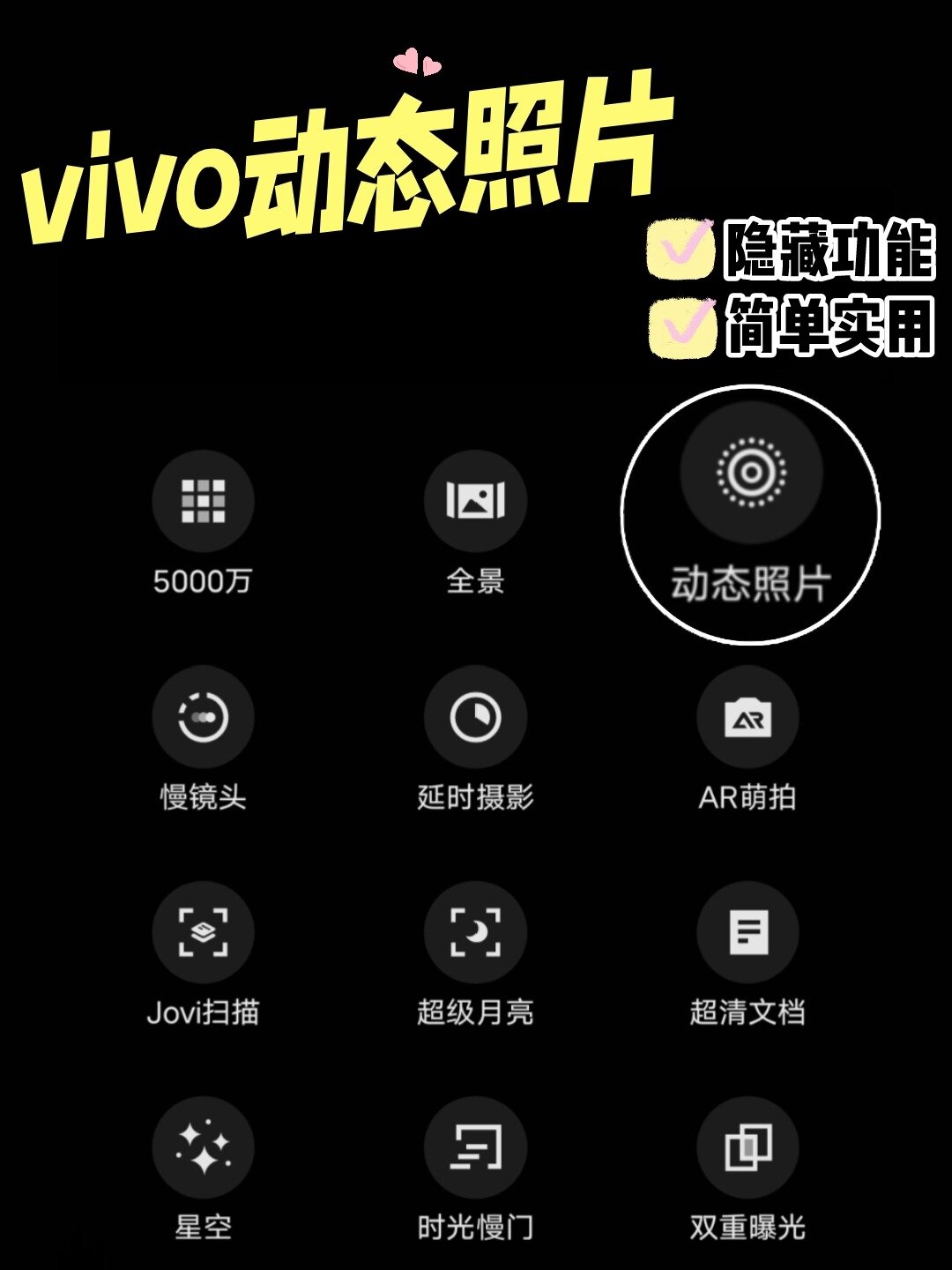 vivo实况照片图片