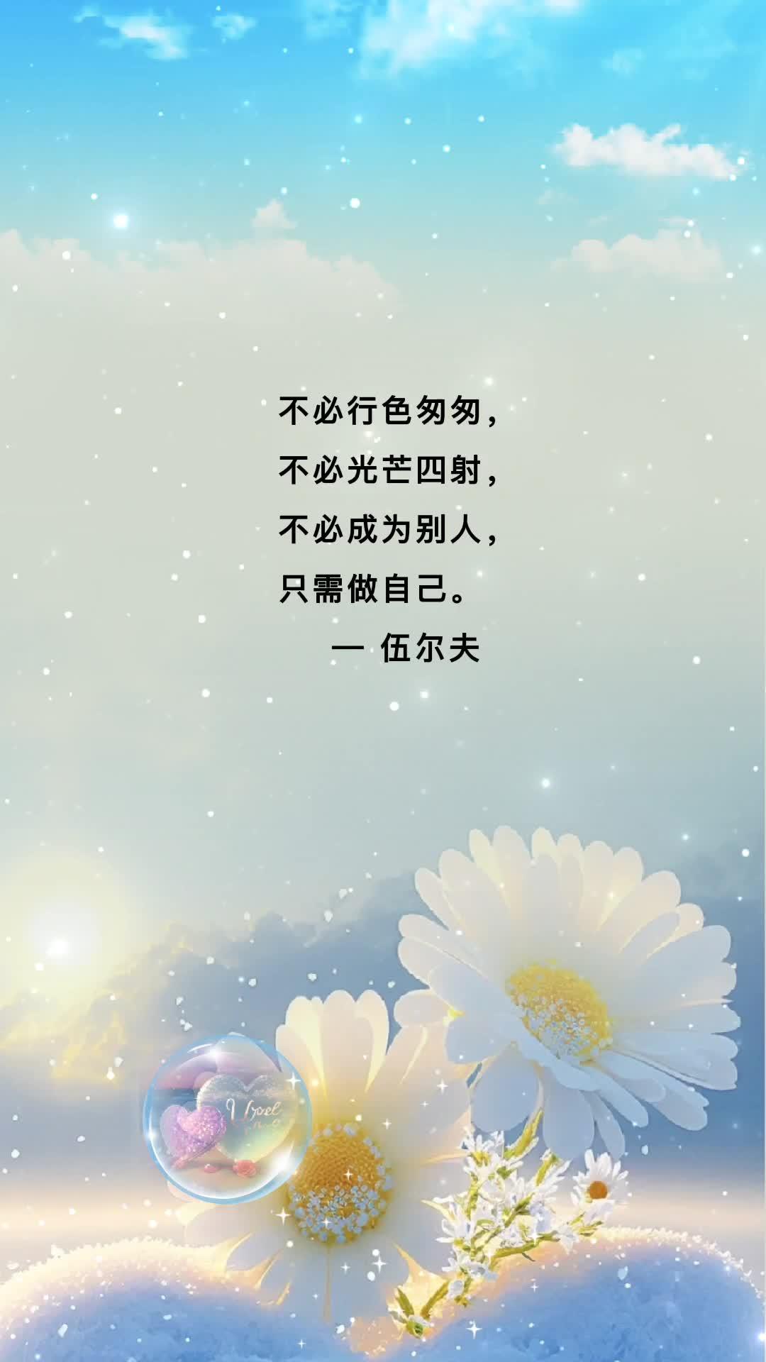 伍尔夫 每日书摘 努力成为更好的自己 情感励志 触动心坎的那些话