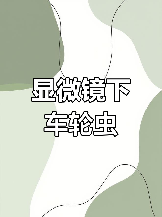 车轮虫在显微镜下的形态解析