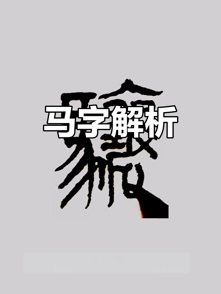 汉字"马"的演变与意义