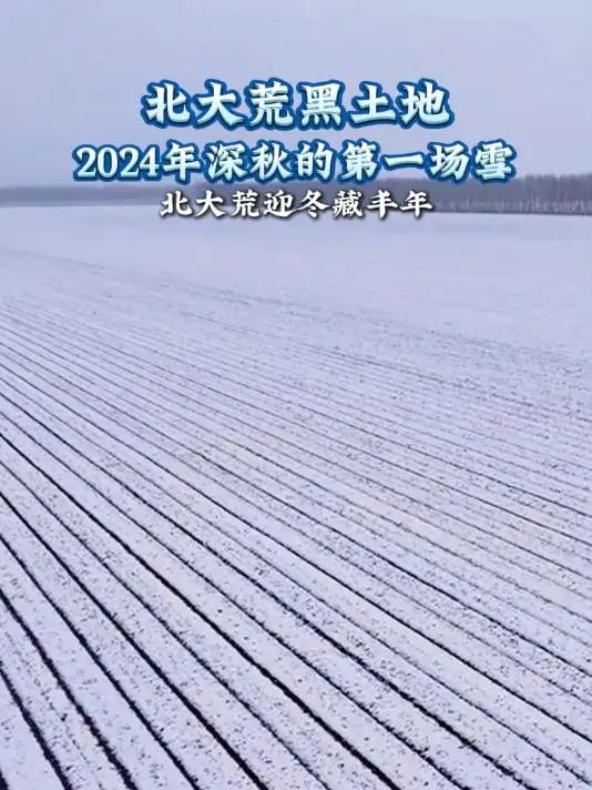 10月27日,黑龙江北大荒迎来了今秋首场雪,银装素裹美不胜收.