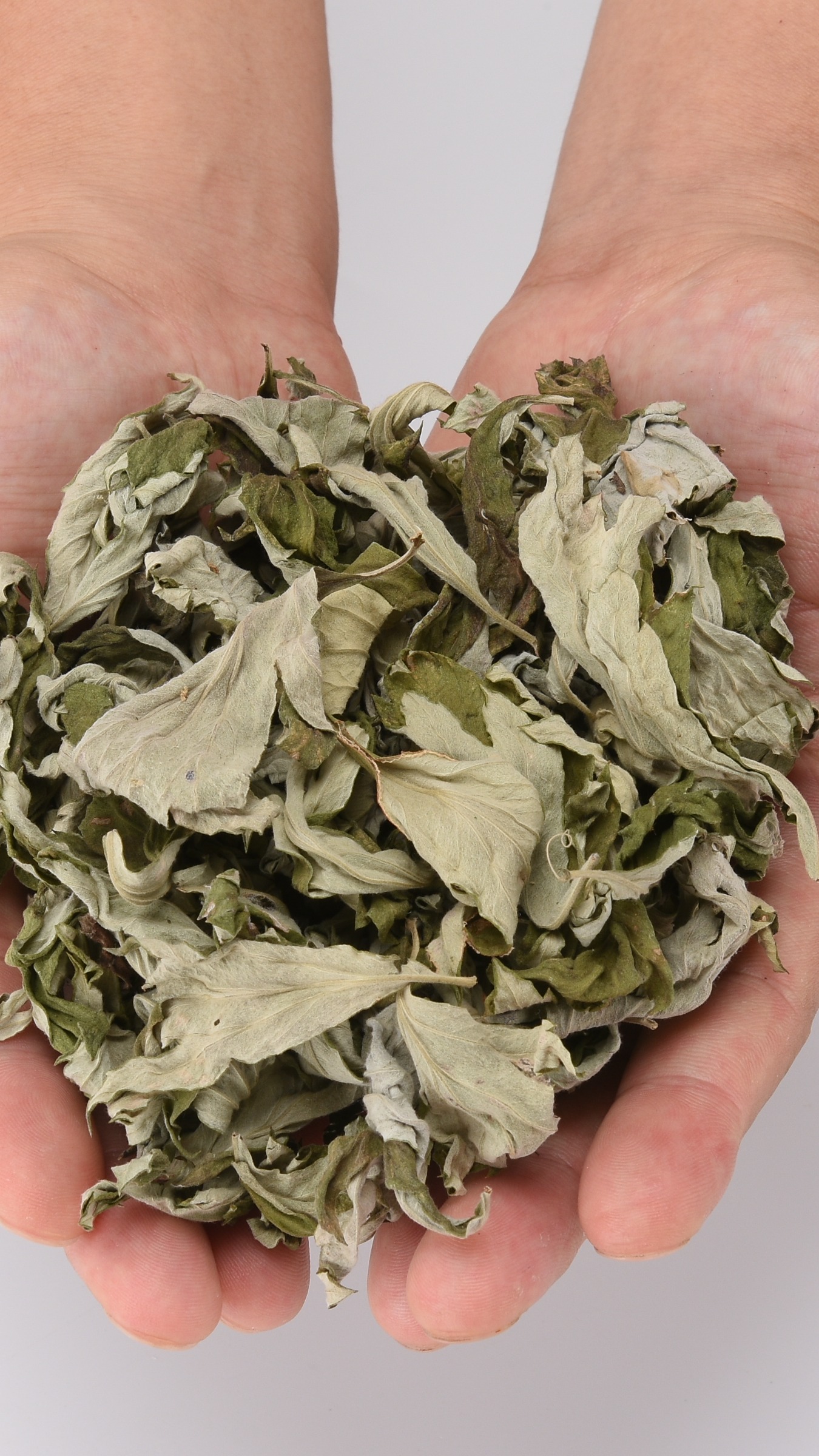 南阳桐柏道地艾叶千亩种植基地手工挑选优质艾叶三年陈艾贴牌代工