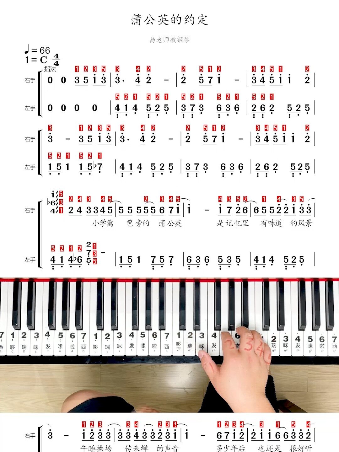 钢琴弹奏《蒲公英的约定》简谱 动态谱