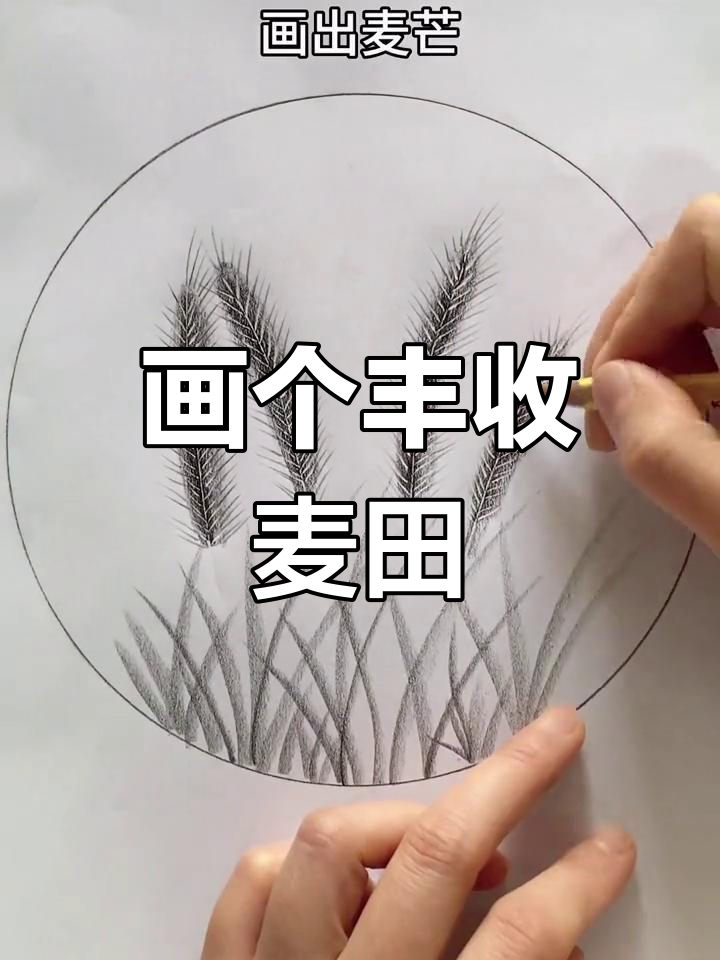 用炭笔画丰收的麦田,简单又好看