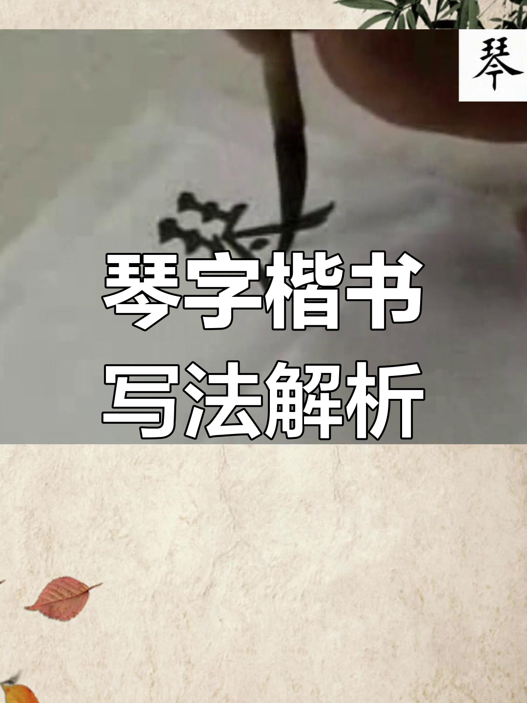 田蕴章教授详解"琴"字楷书笔顺,结构清晰可见