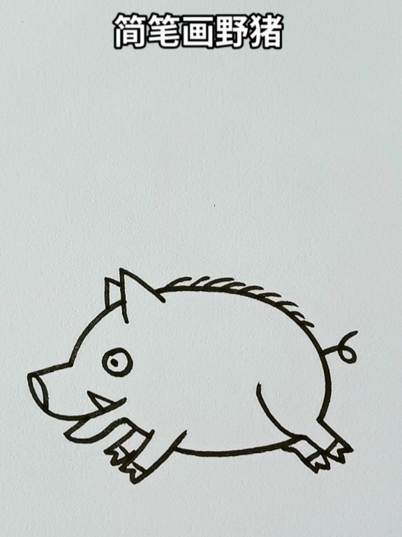 简笔画野猪简笔画简笔画教程