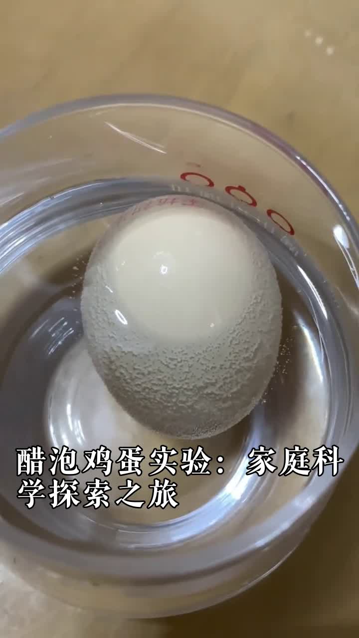 醋泡鸡蛋实验:家庭科学探索之旅