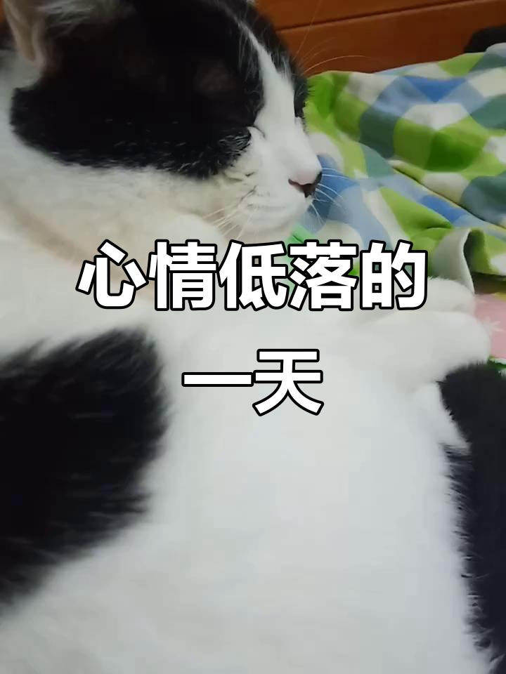 今天心情不太好,有点郁闷