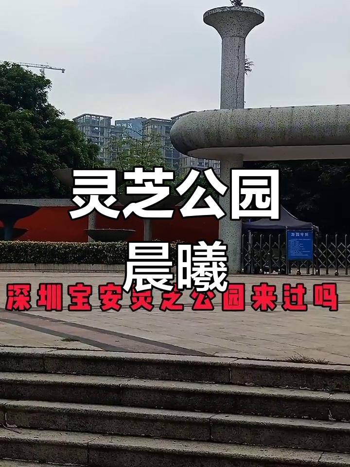 深圳宝安灵芝公园的早晨美景