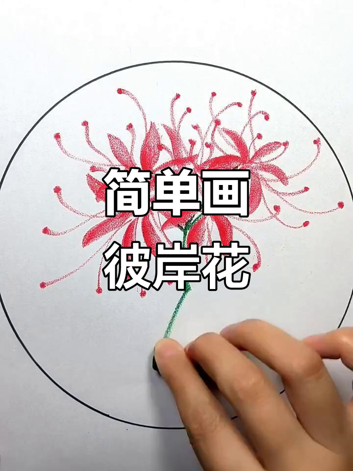 用几笔画出彼岸花,简单又美丽