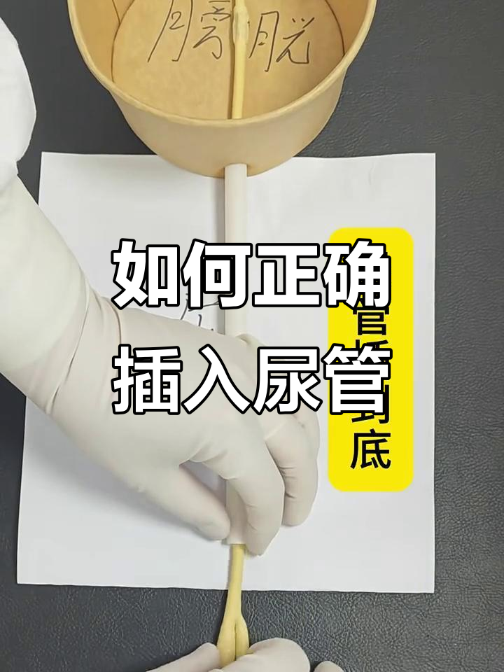 插尿管步骤全解析,轻松学会操作技巧