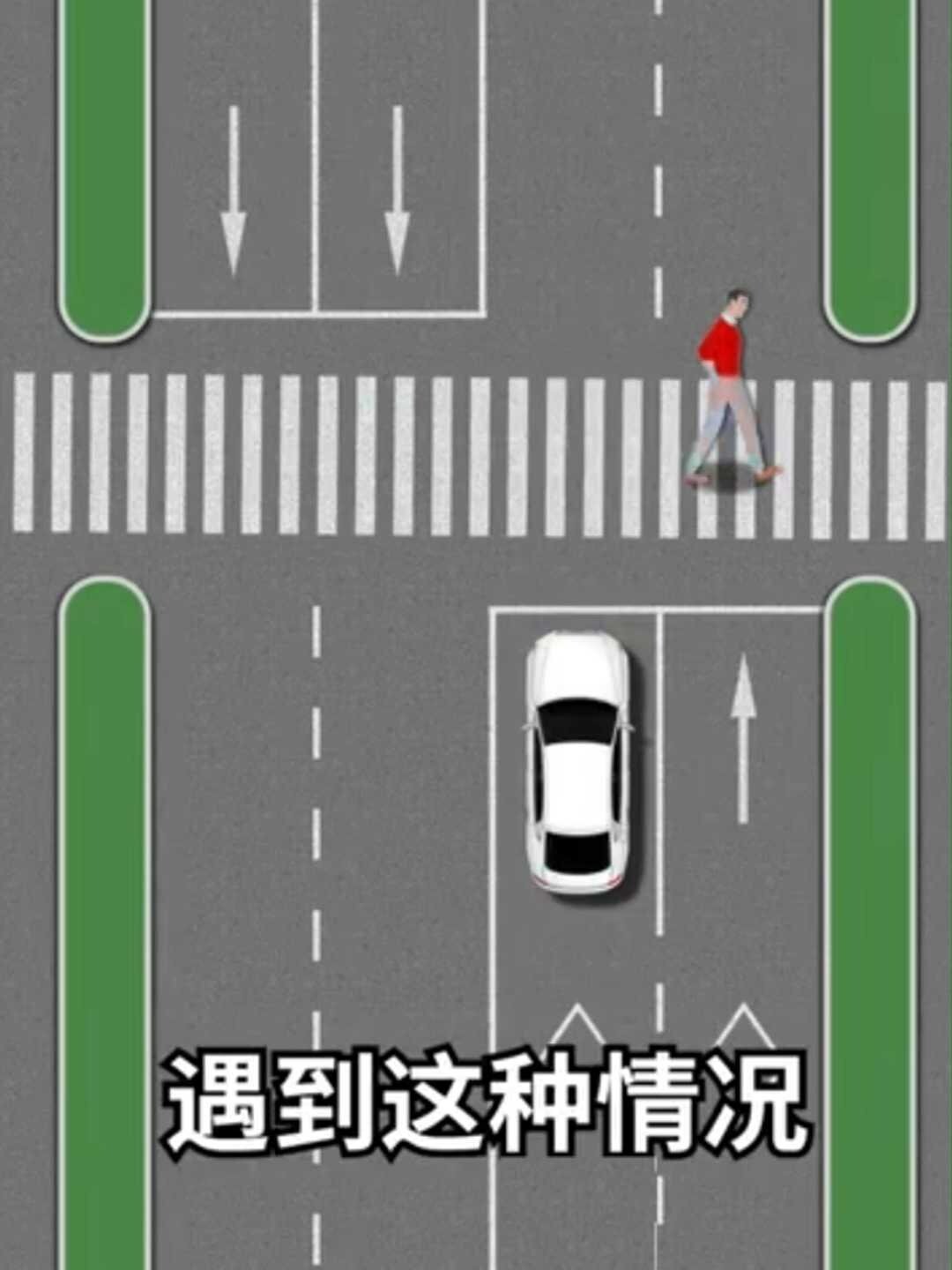 必须知道的礼让行人拍照规则