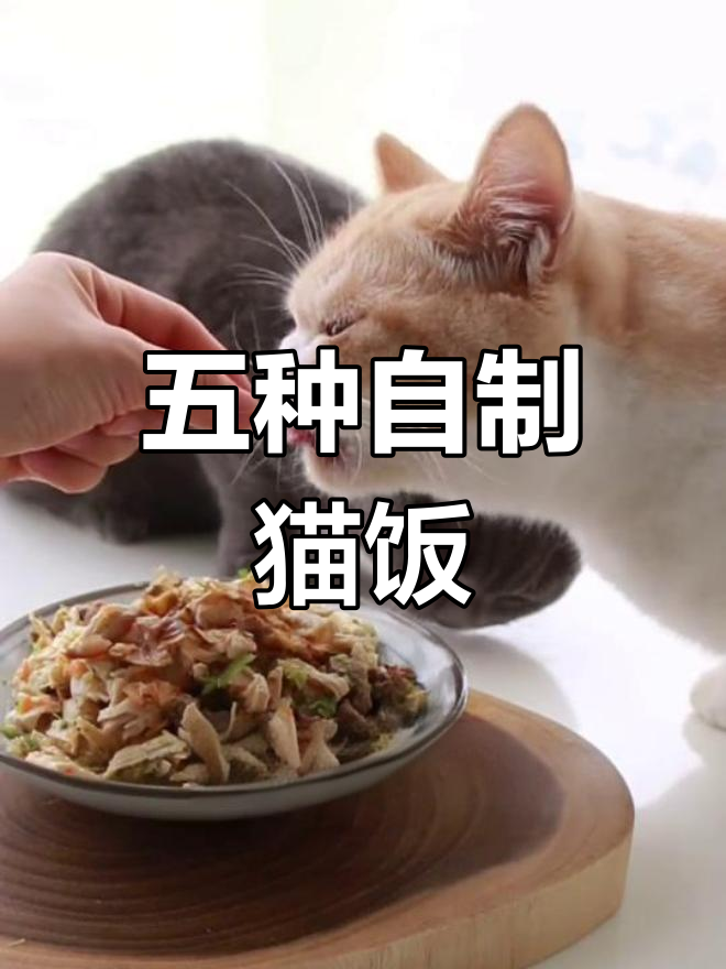 小猫做法图片