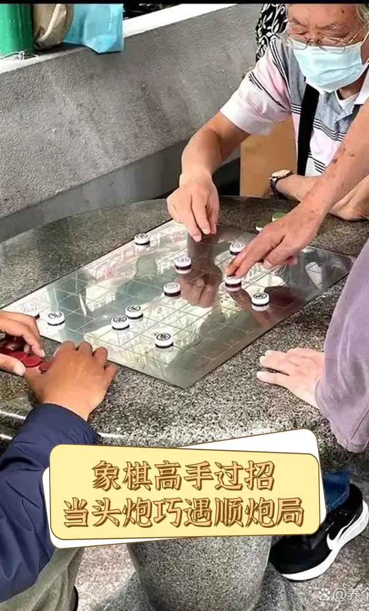 象棋高手过招,当头炮巧遇顺炮局