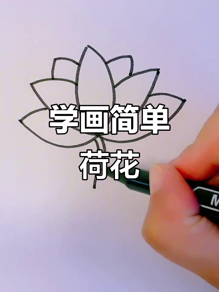 荷花简笔画教程,轻松学会画美丽莲花