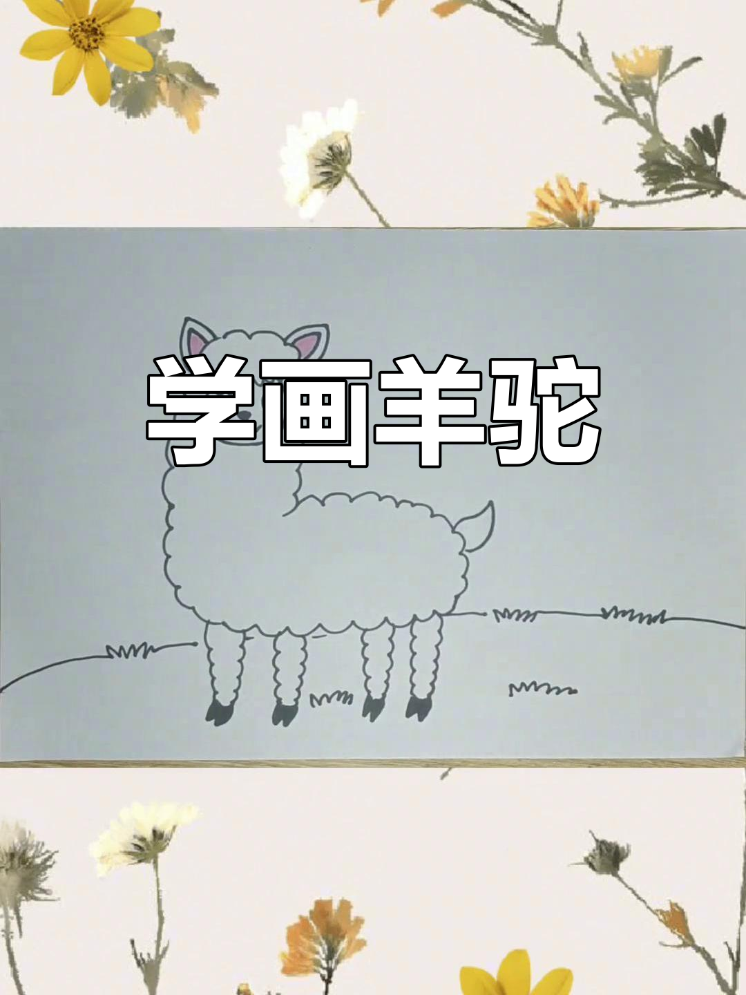 羊驼简笔画教程,轻松学会画可爱草泥马