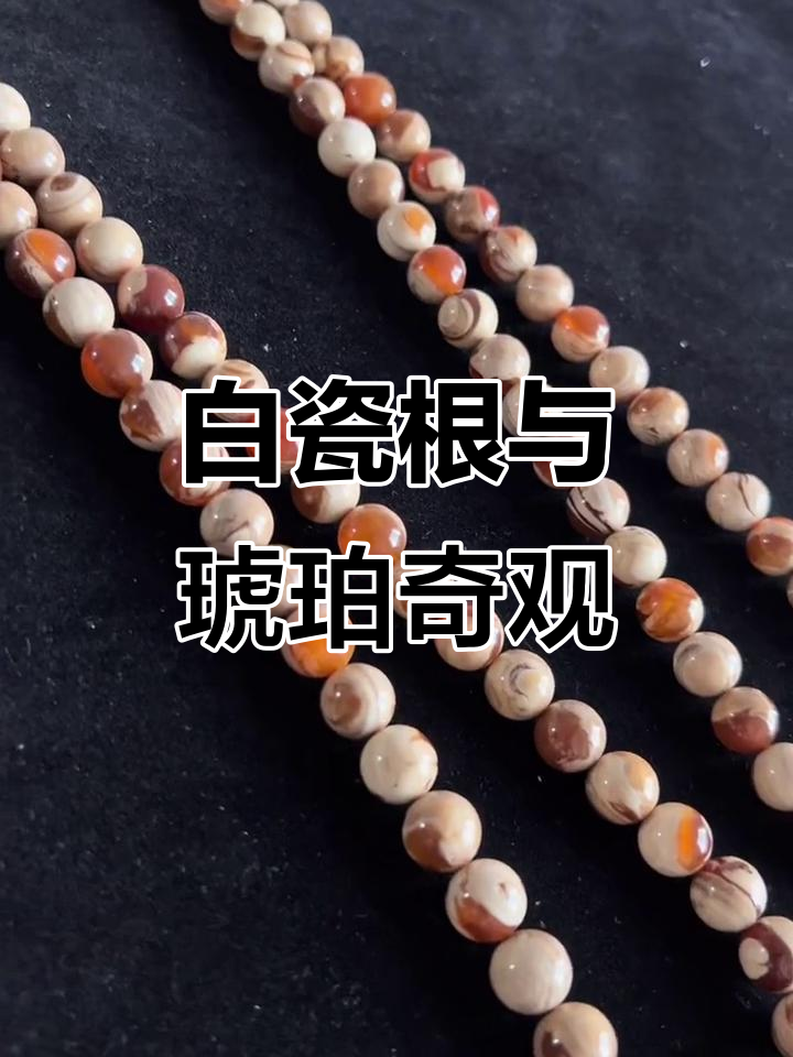 缅甸琥珀白瓷根溶洞,半根半珀的奇特景观