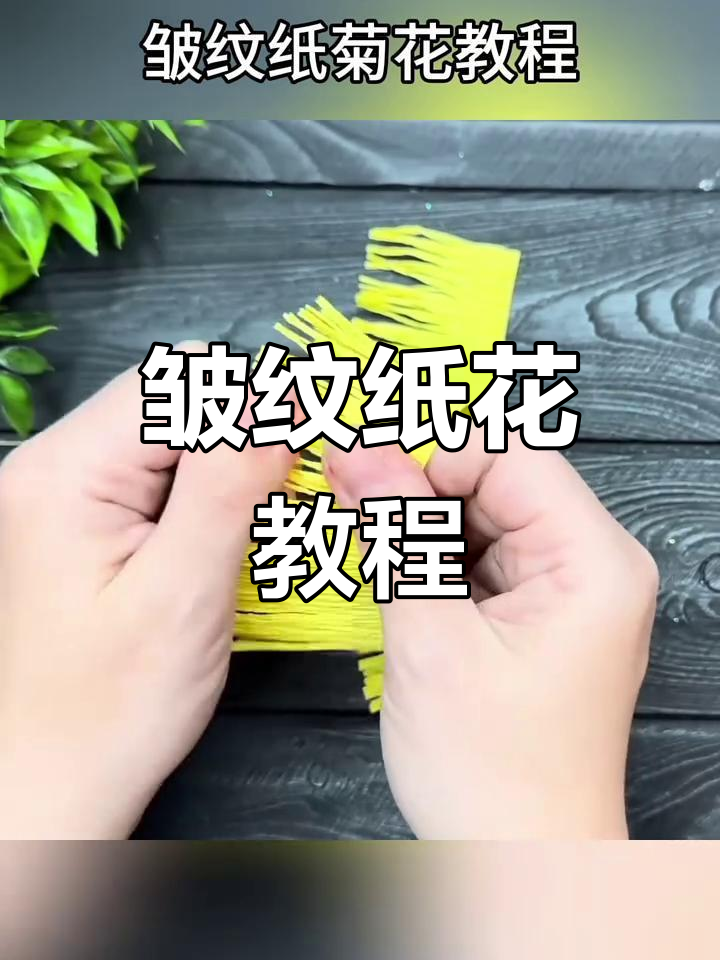 皱纹纸菊花制作教程,简单又好看!