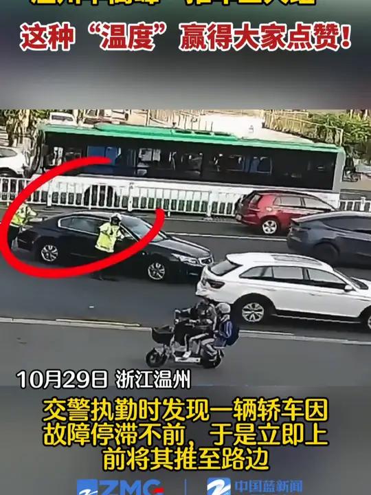 (来源:温州交警)