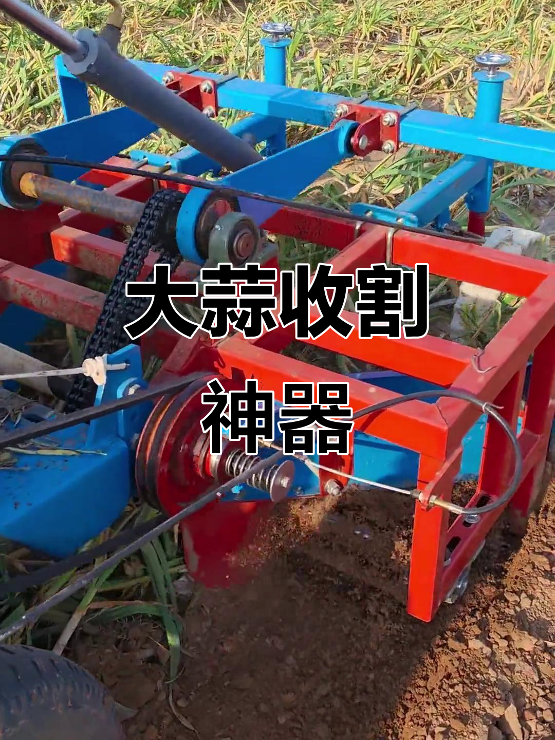 这款大蒜收获机,一次六行作业,效率惊人!