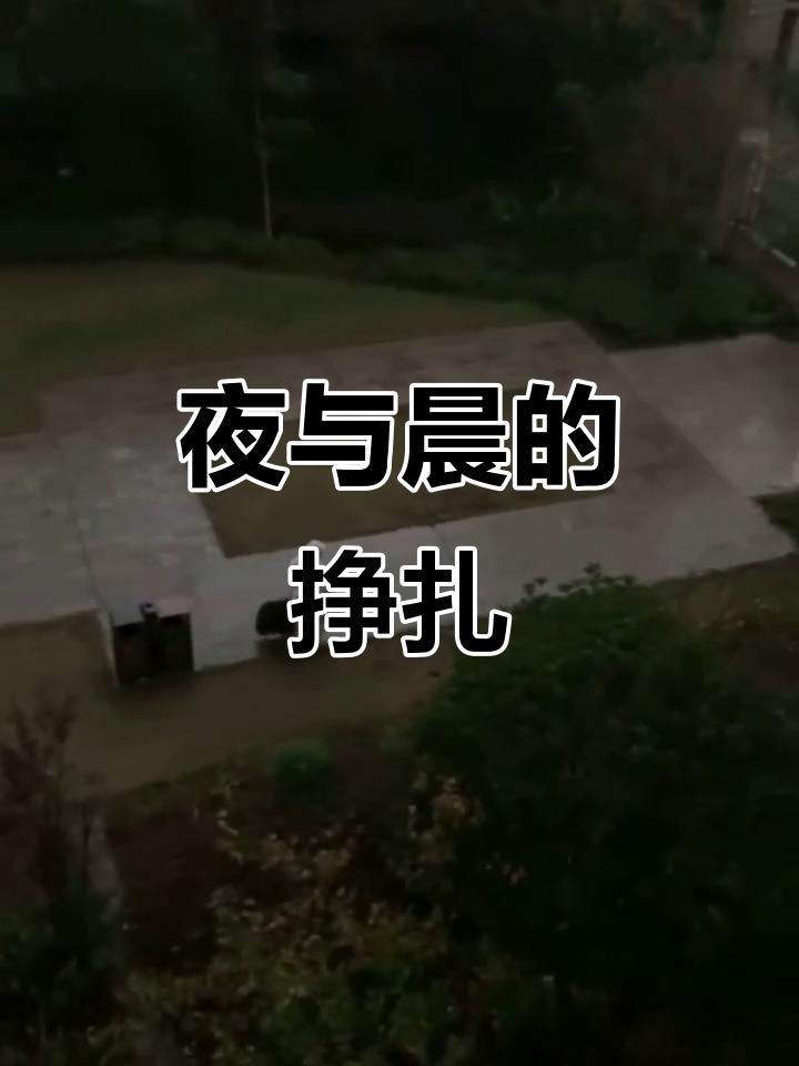 夜晚漫长,孤独无依,渴望光明却又害怕面对新的一天