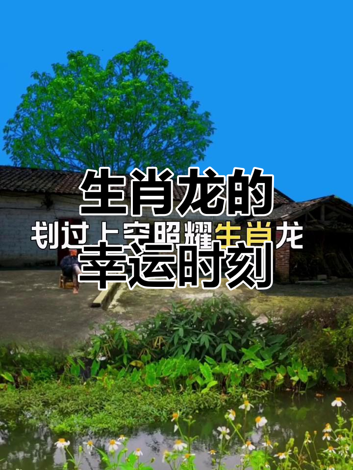 生肖龙20255月运势(2025年属龙运势)