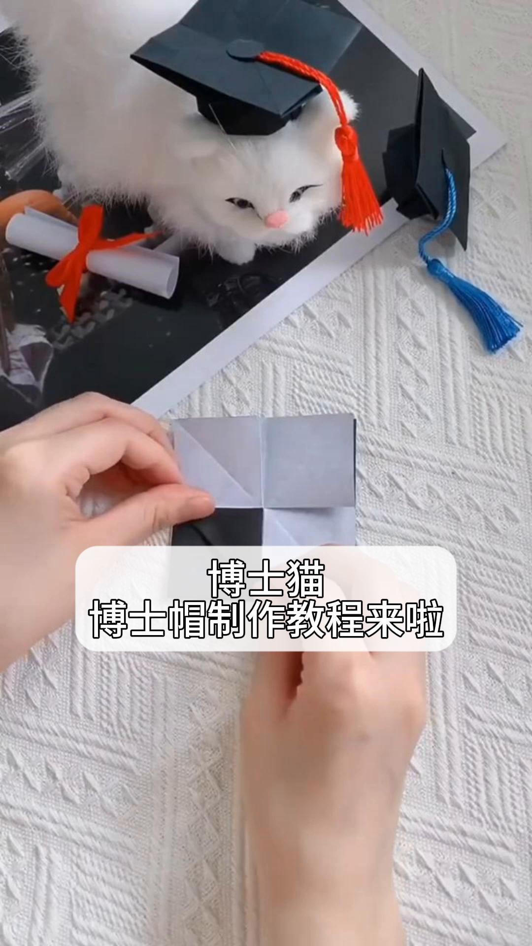 博士猫,博士帽制作教程来啦