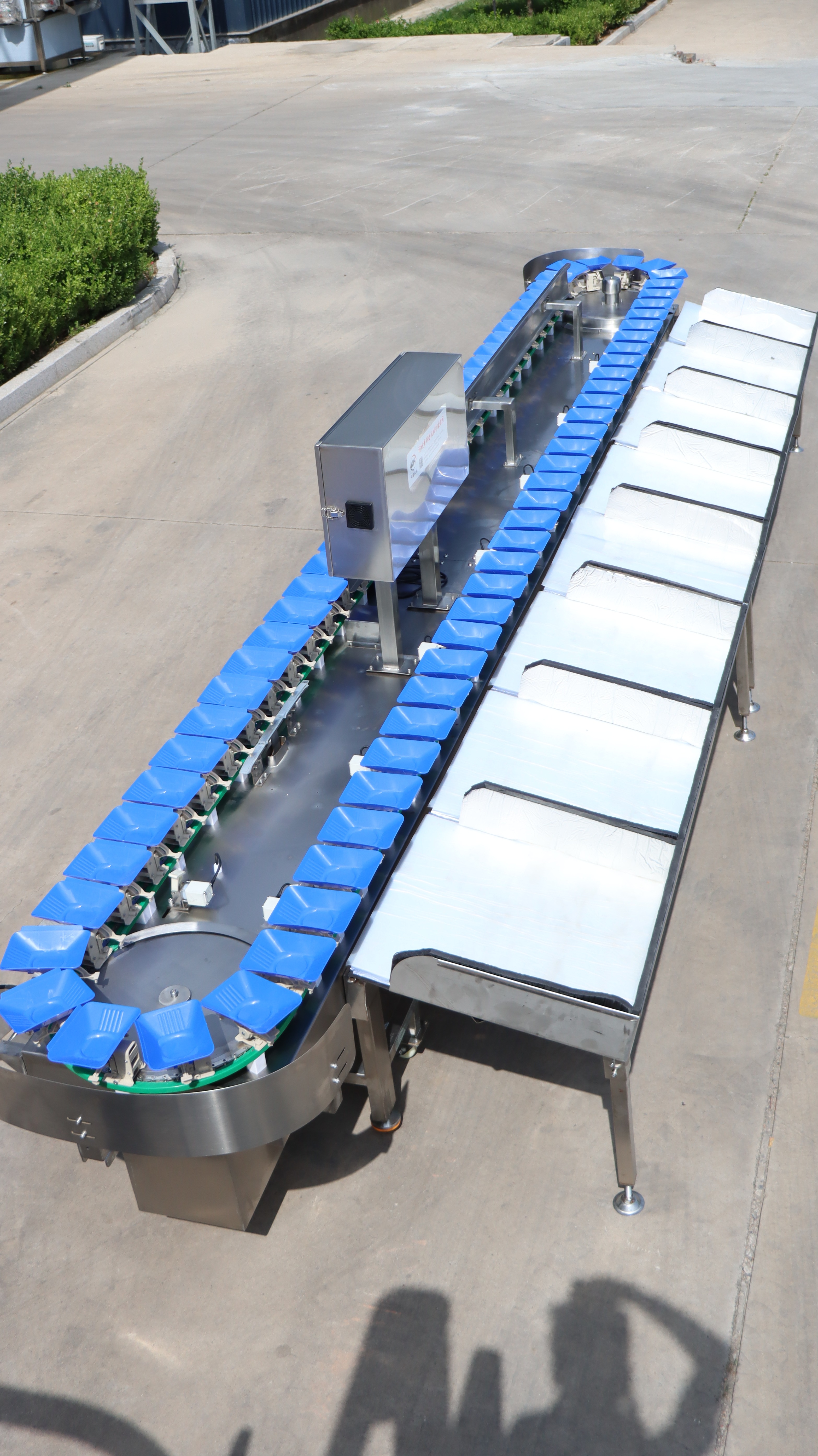 百合重量分选机 自动称重分级机 马蹄称重分拣机