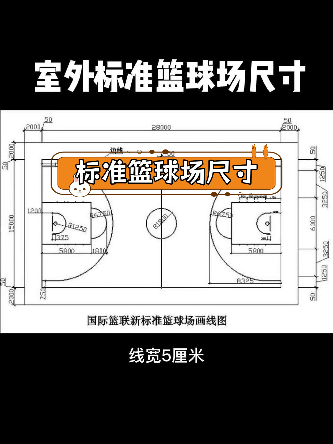 篮球场标准尺寸解析