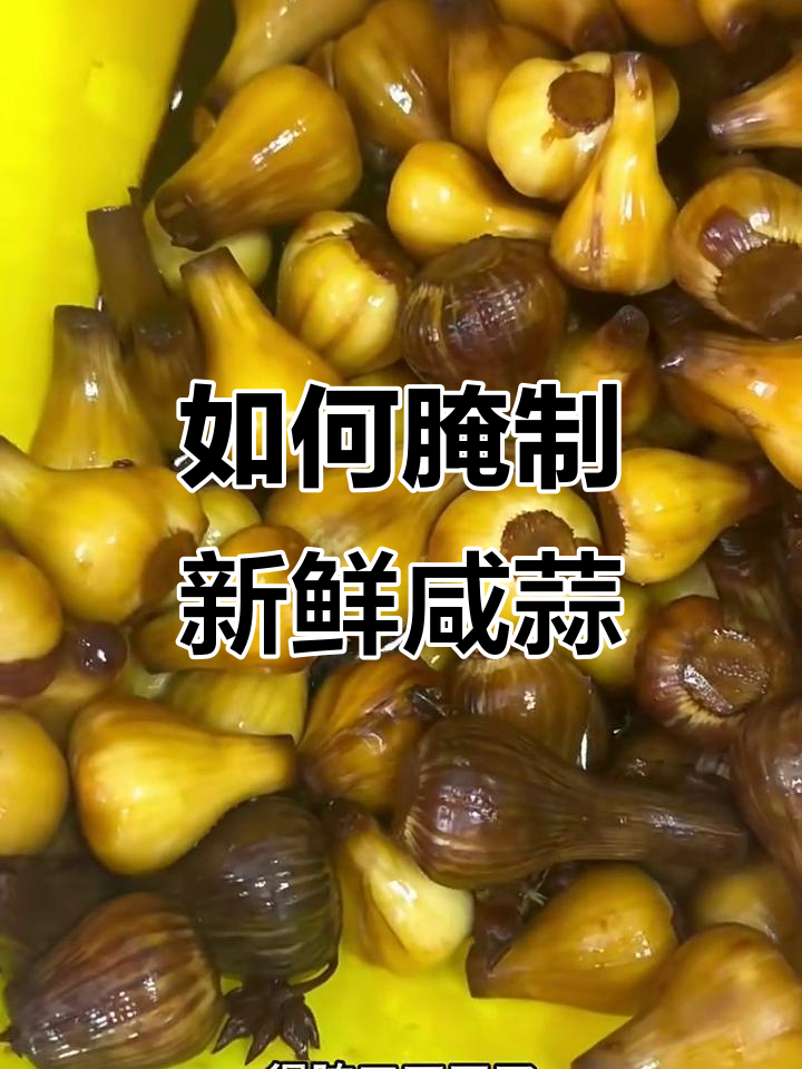 干的大蒜怎么腌制好吃