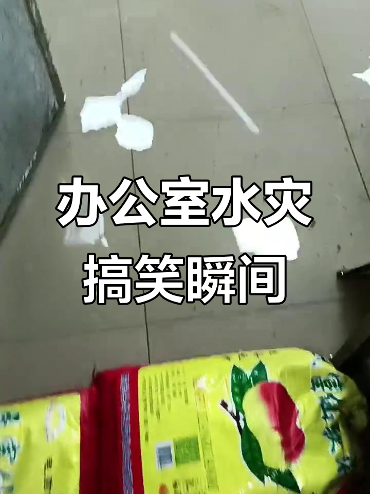 办公室被淹,笑到不行!