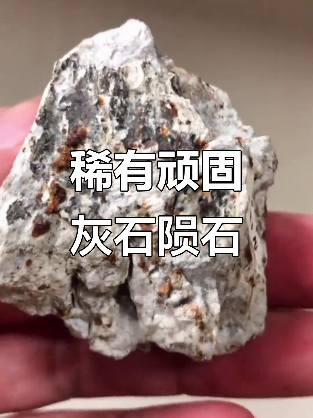 罕见顽辉石无球粒陨石,捡到就发财了!