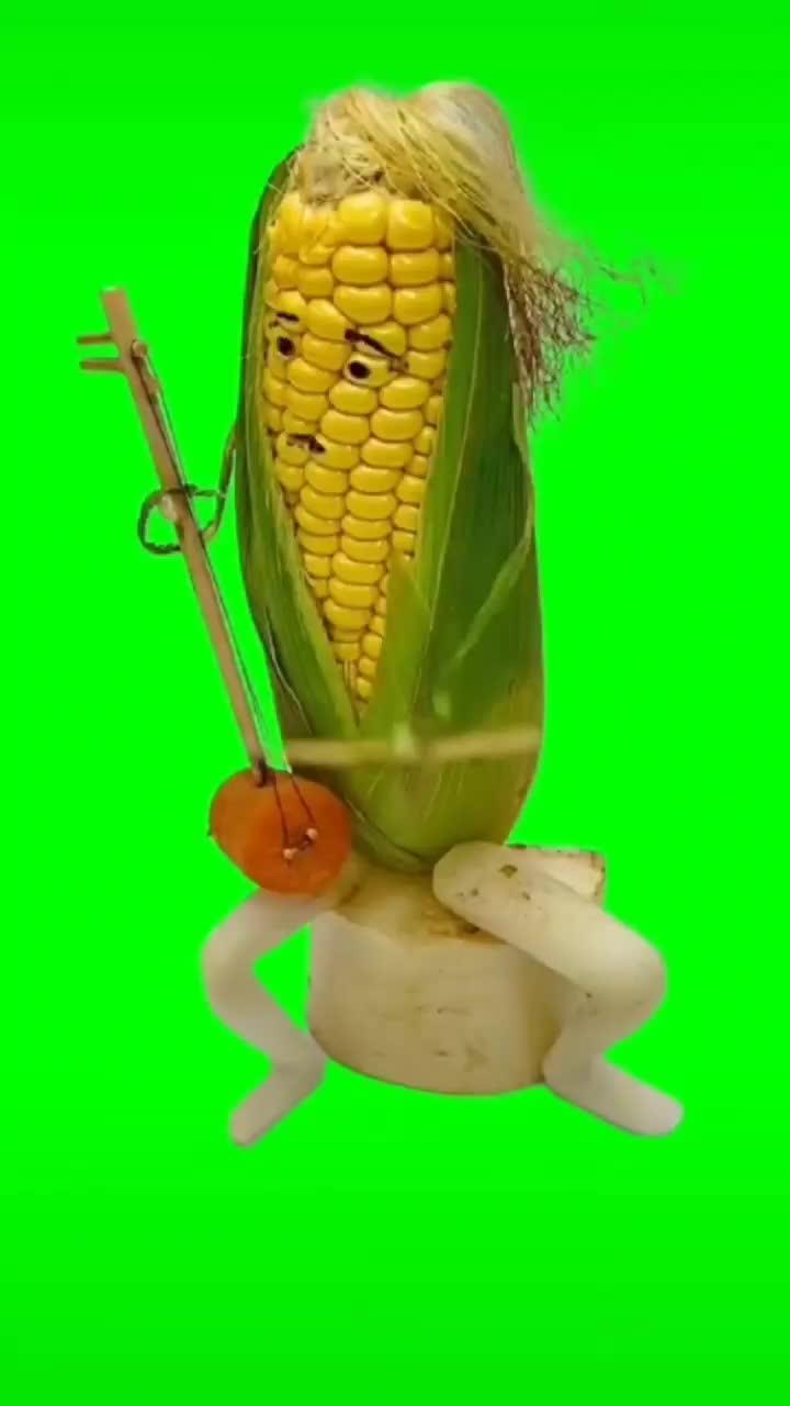 猪八戒背媳妇版玉米拉二胡 星辰似你 绿幕素材 视频素材 搞笑视频-度