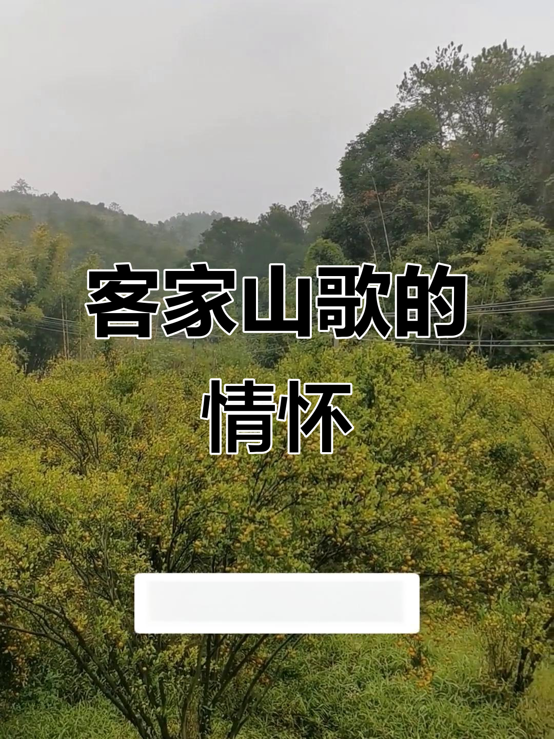 客家山歌:情愁与泪水的交织