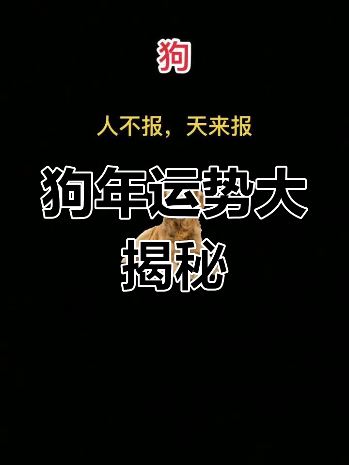 生肖狗的2023年运势(属狗2023年属狗运势和运)
