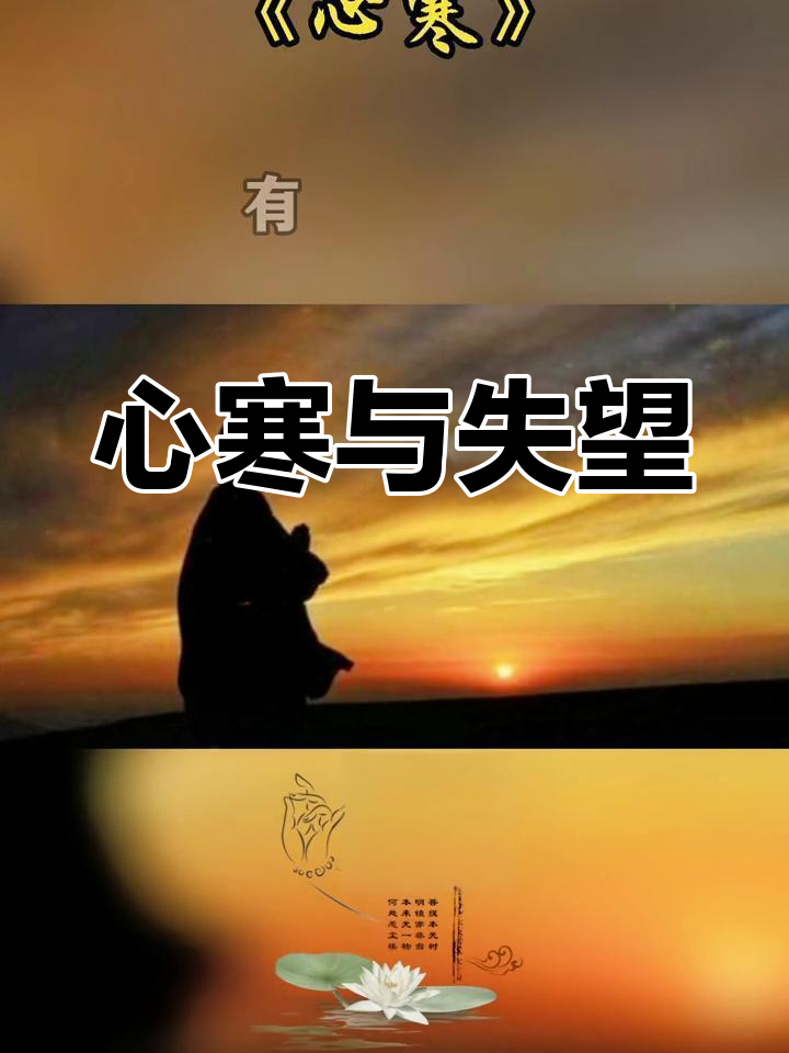 真正的寒心,是无声的绝望;失望不是泪水,而是内心的沉默