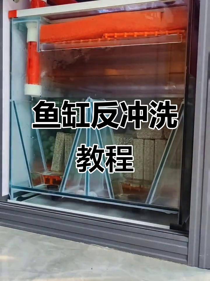 鱼缸反冲洗技巧大揭秘,清洗沉淀仓轻松搞定