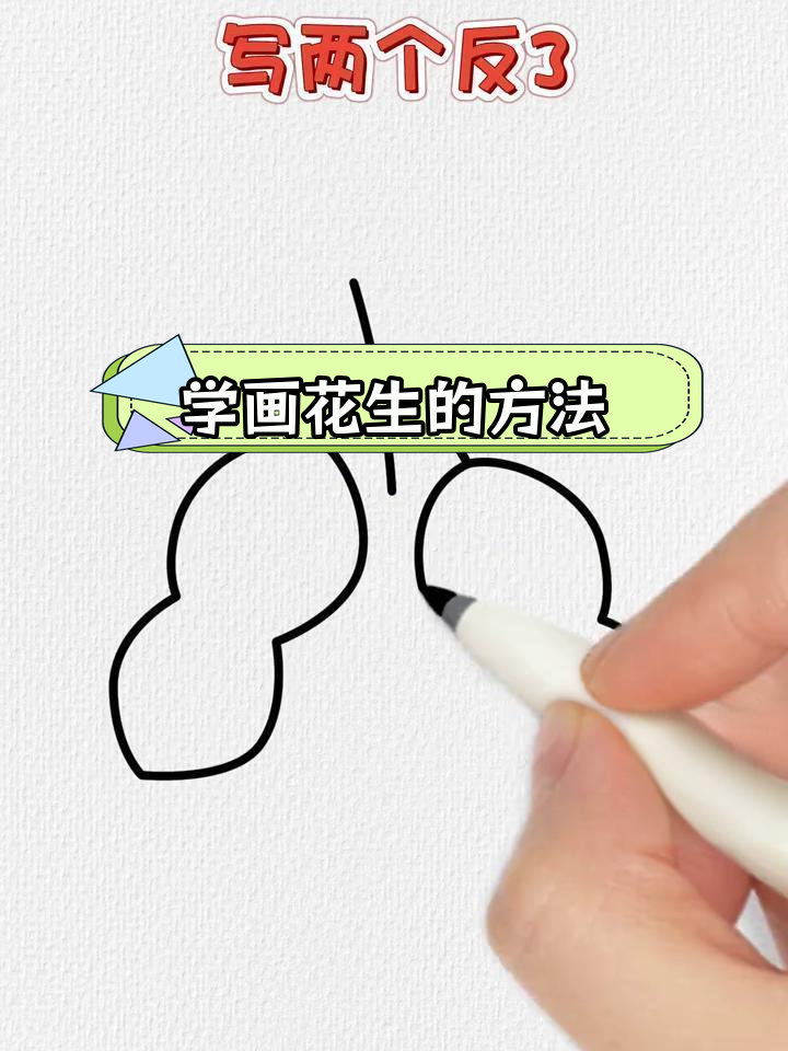 简单几步画出花生,轻松学会简笔画