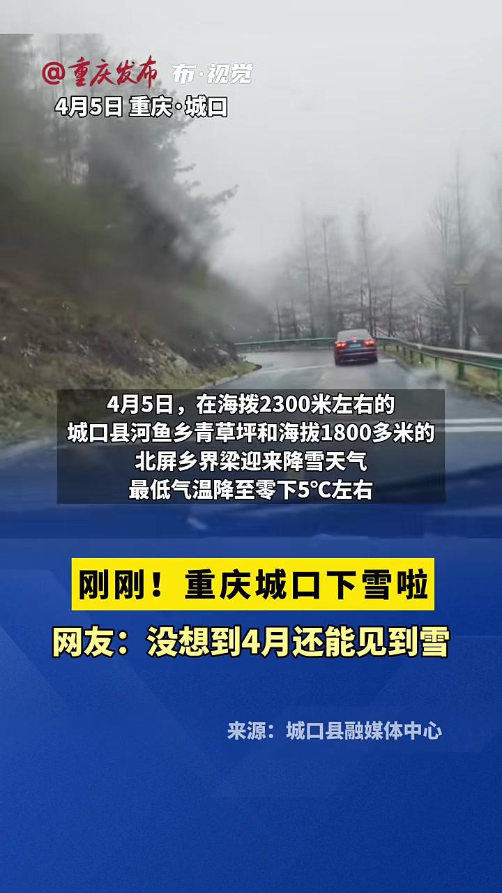 重庆城口下雪啦!网友:没想到4月还能见到雪