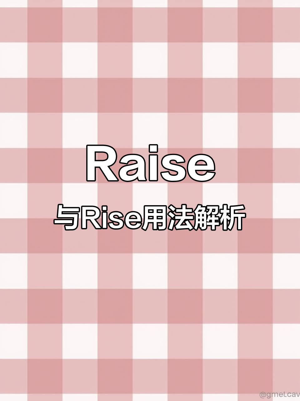 raise是什么意思怎么读音(raise什么意思中文翻译)
